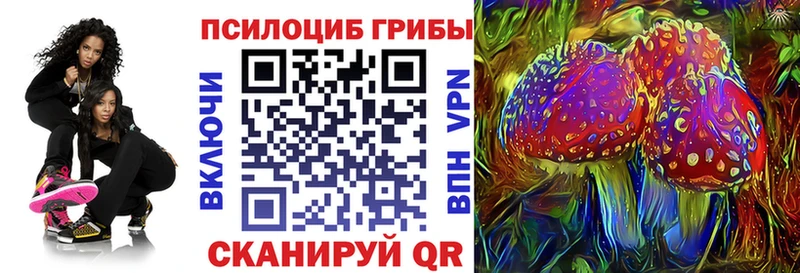 Галлюциногенные грибы Psilocybine cubensis  купить закладку  Ртищево 